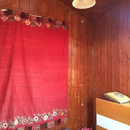 Apollo Didim Pensiune